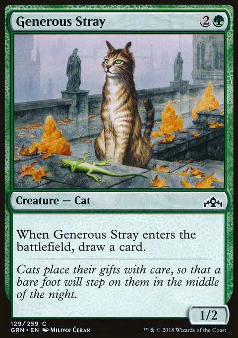 Generous Stray